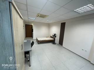 Forumland Real Estate, Studio