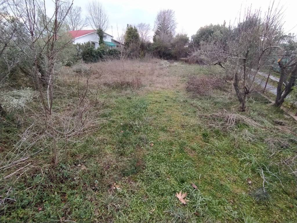 ANYPLACE MESITIKES YPERESIES