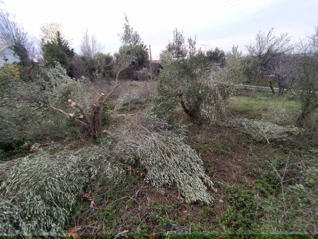 ANYPLACE MESITIKES YPERESIES