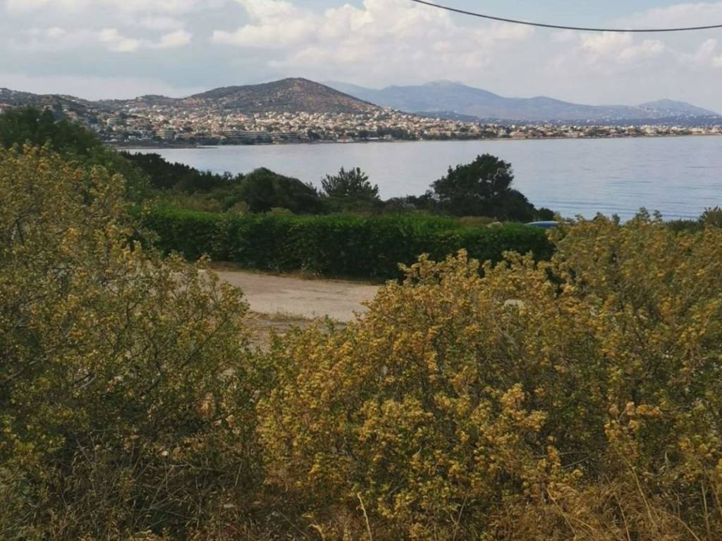 Εξωτερικοι χώροι