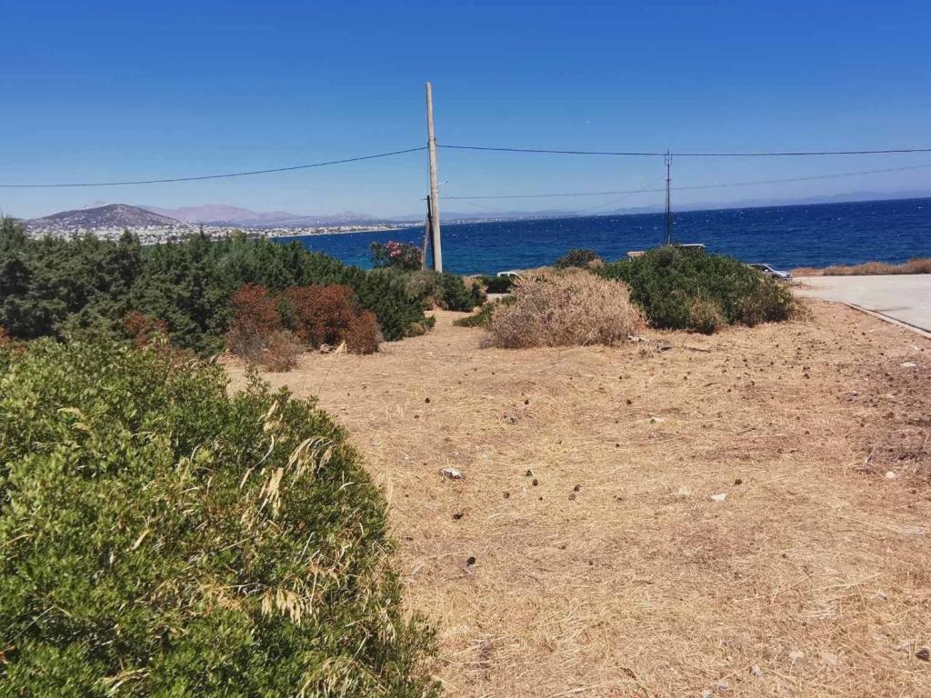 Εξωτερικοι χώροι