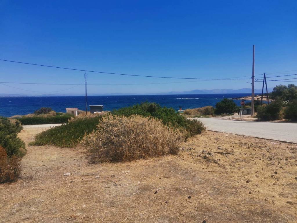 Εξωτερικοι χώροι