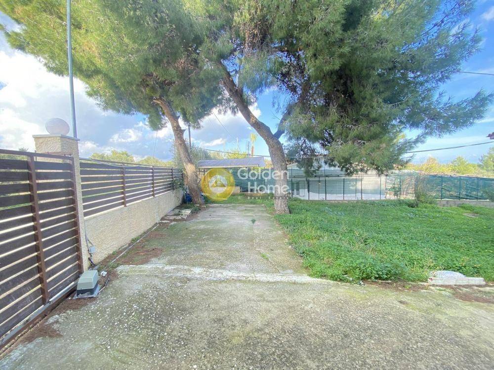 Εξωτερικός Χώρος