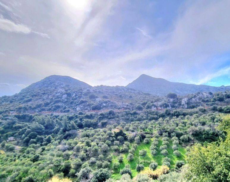 Πανοραμική  Άποψη