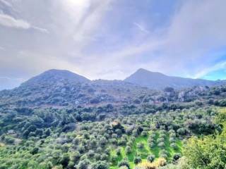 Πανοραμική  Άποψη