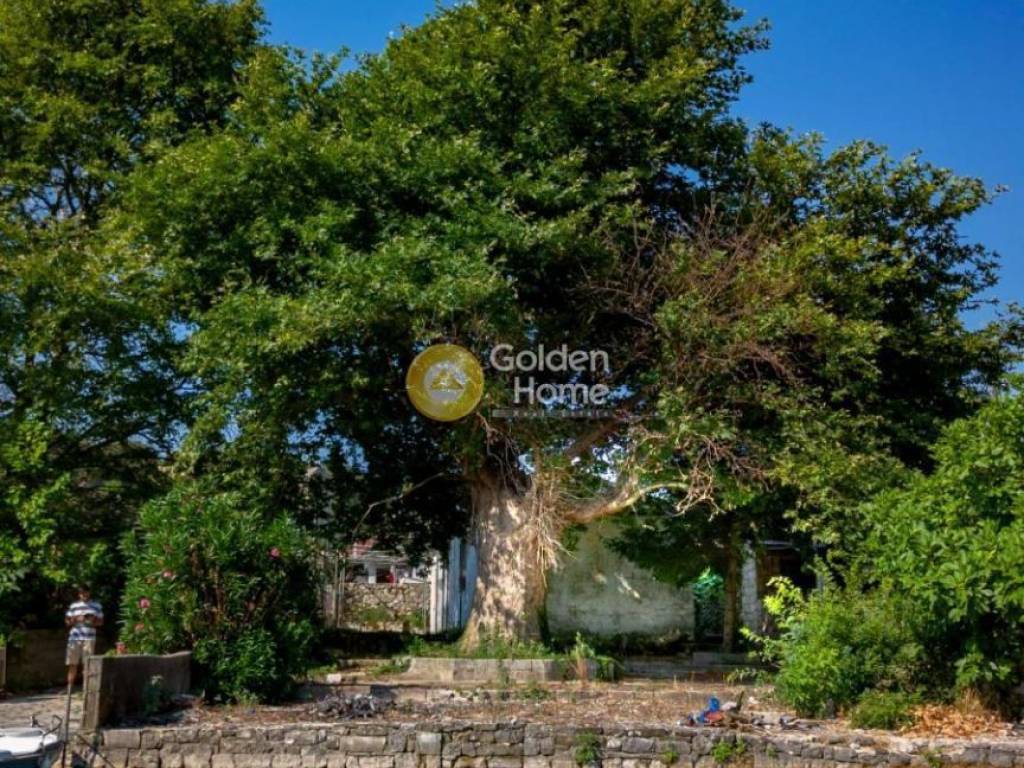 Ανελκυστήρας