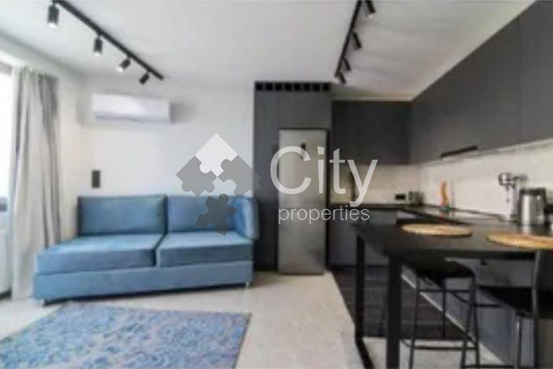 Κουζίνα,Σαλόνι,Σαλοκουζίνα