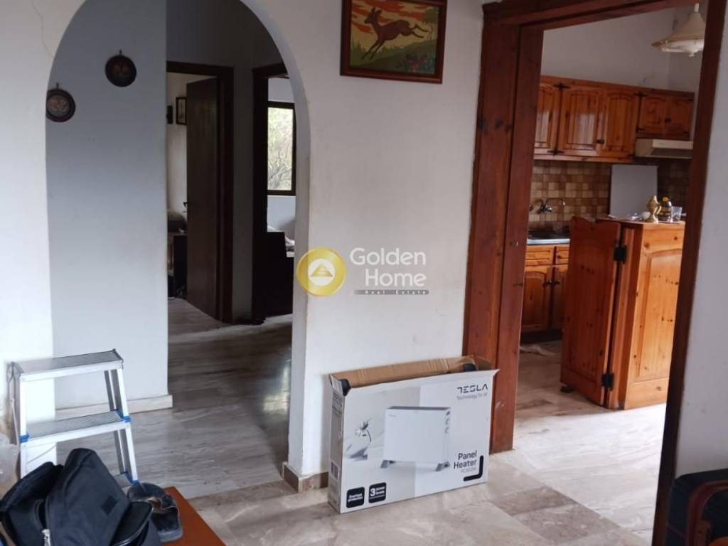 Κυρίως Χώρος