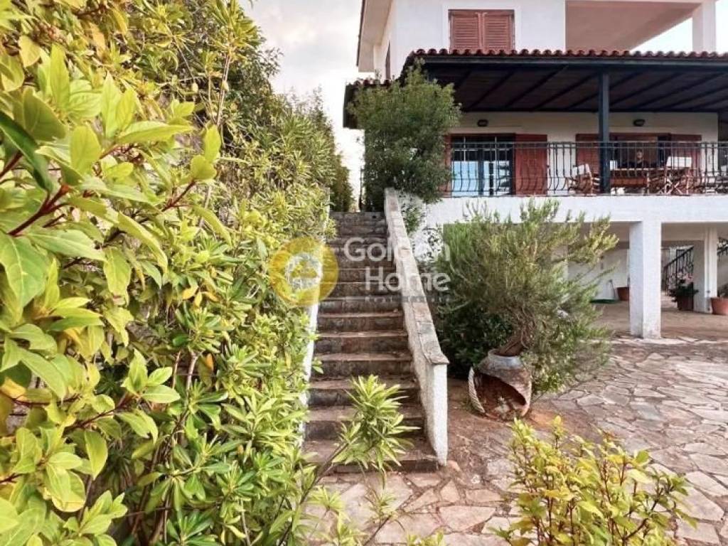 Ανελκυστήρας