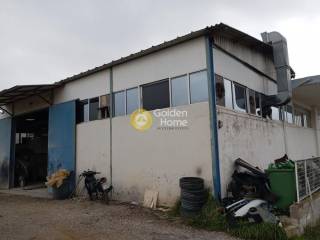 Ανελκυστήρας