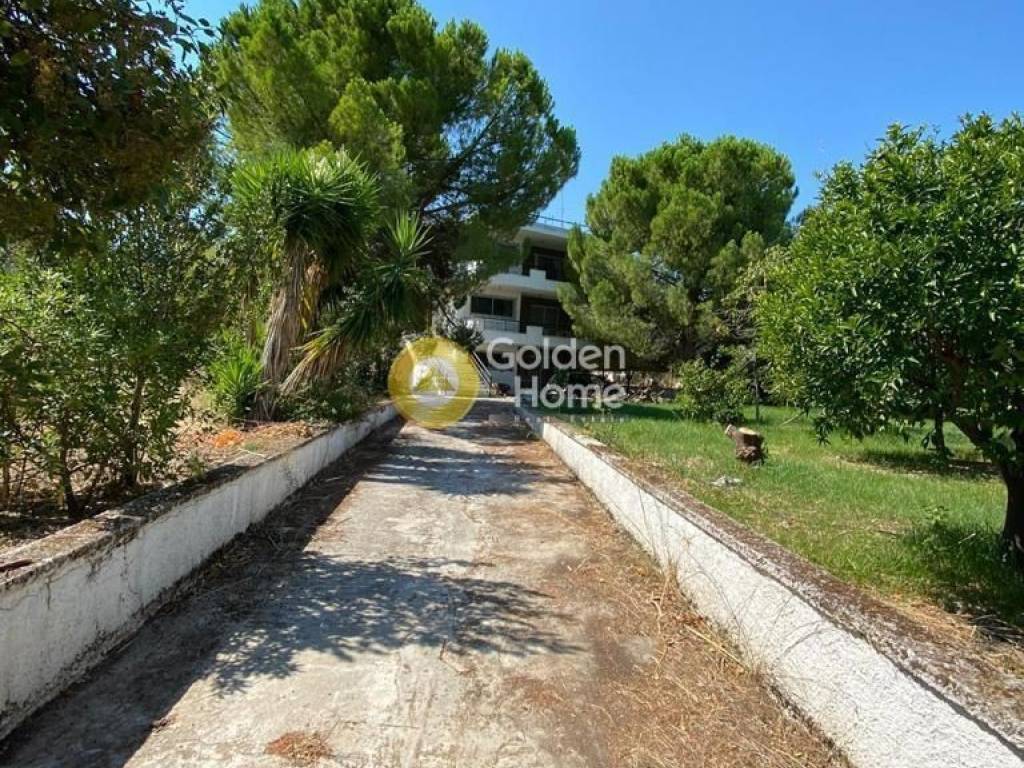 Ανελκυστήρας