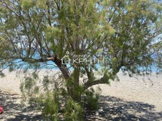 ΠΑΡΑΛΙΑ ΚΑΛΑΜΟΚΑΝΙΑΣ