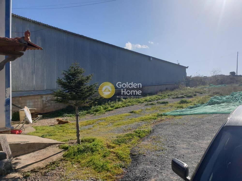 Εξωτερικός Χώρος