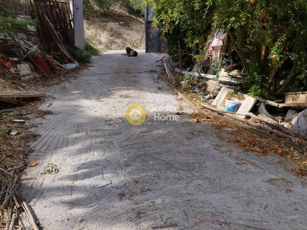 Εξωτερικός Χώρος