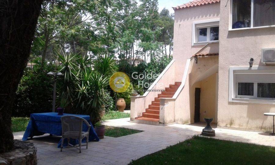 Ανελκυστήρας