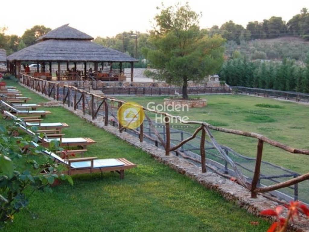 Κυρίως Χώρος