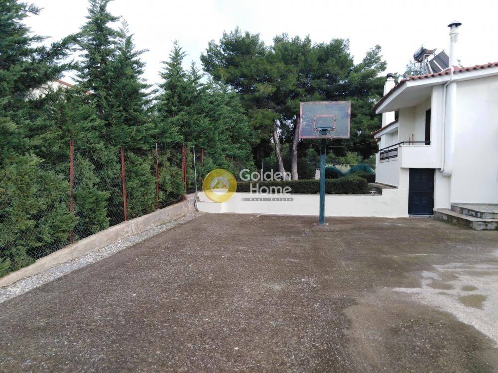 Εξωτερικός Χώρος