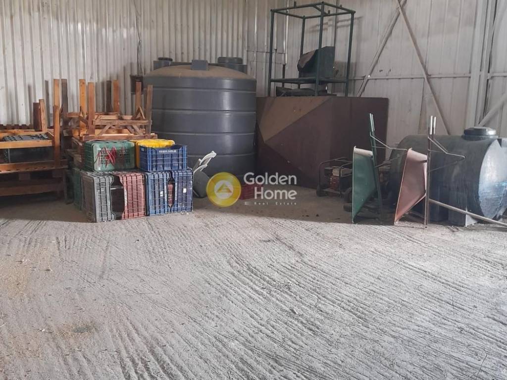 Κυρίως Χώρος