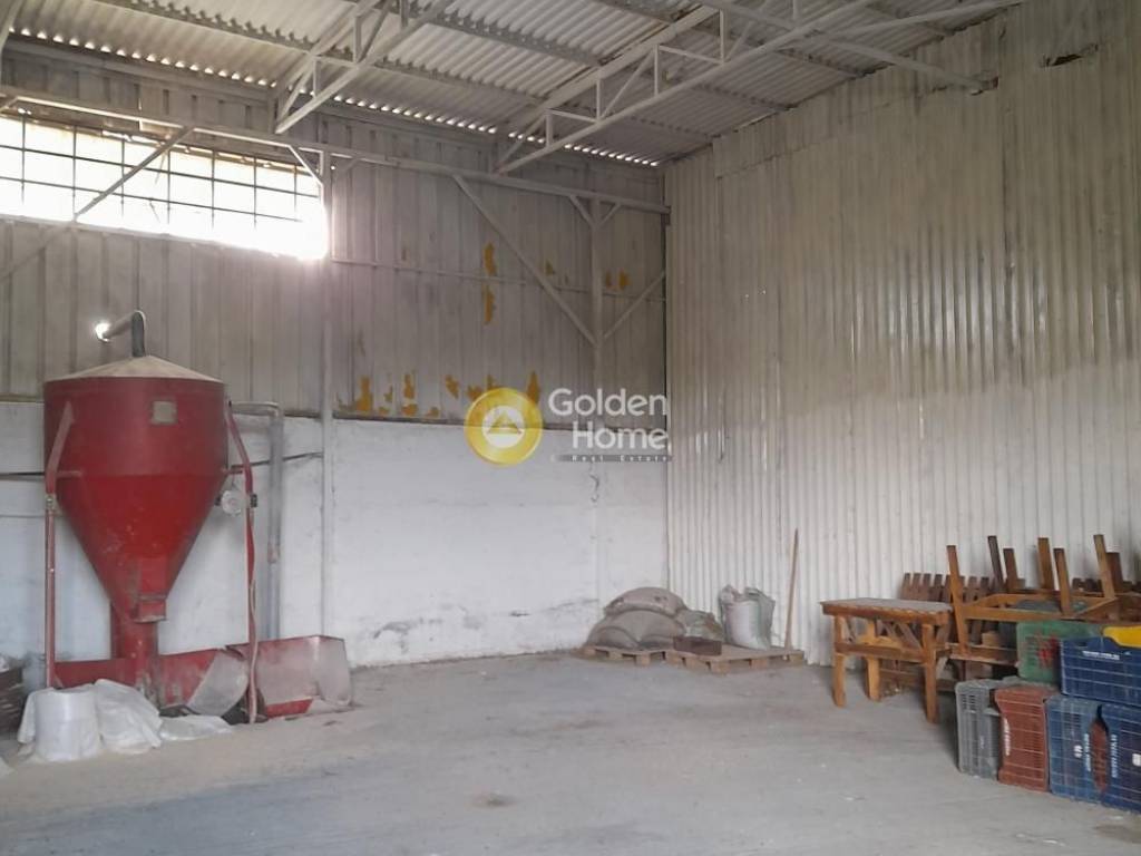 Κυρίως Χώρος