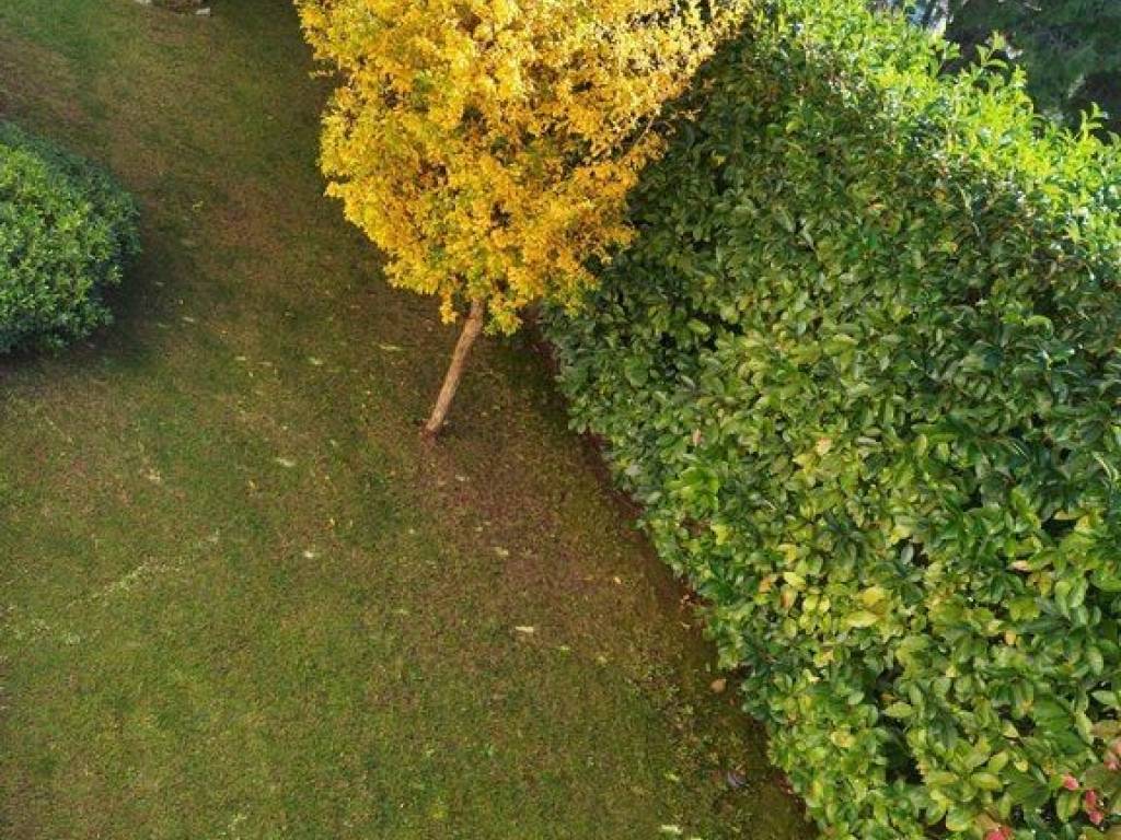 Κομμάτι του κήπου