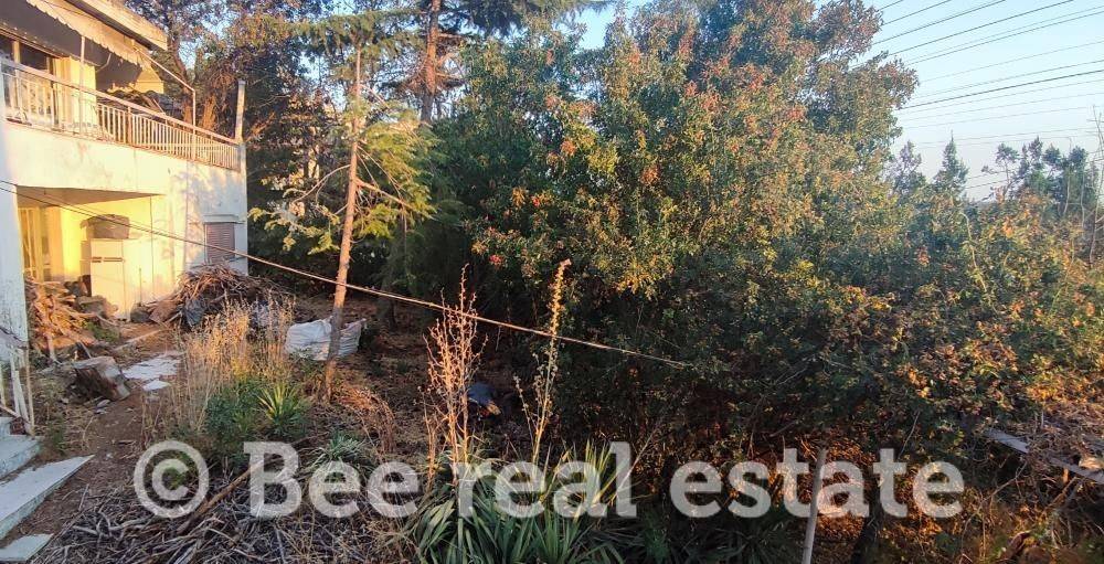 Άποψη εξωτερικού χώρου