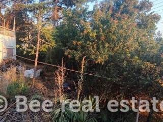 Άποψη εξωτερικού χώρου