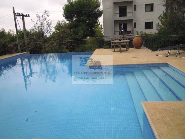 VIEW OF THE SWIMMING POOL