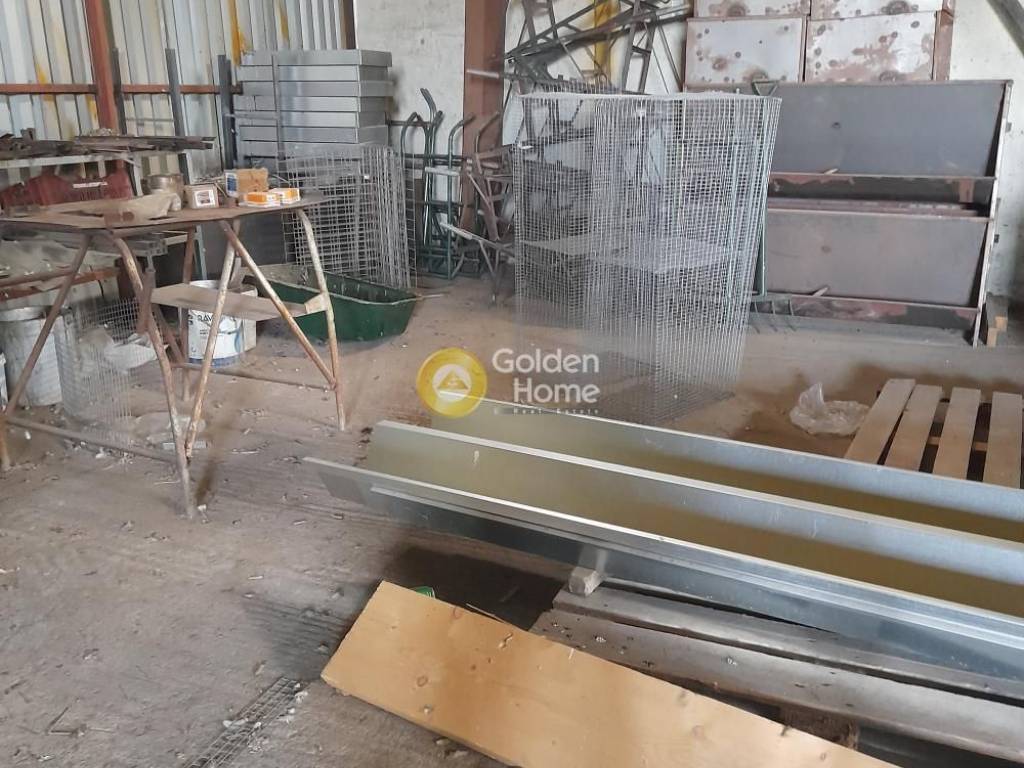 Κυρίως Χώρος