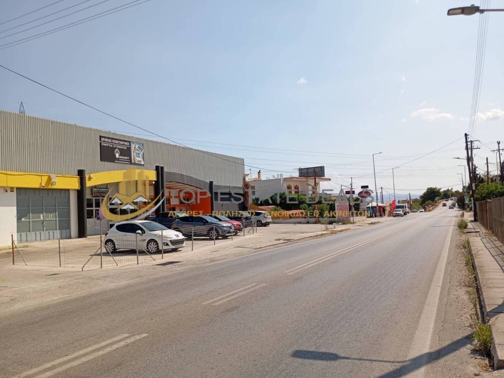 these epano sten P.E.O Patron