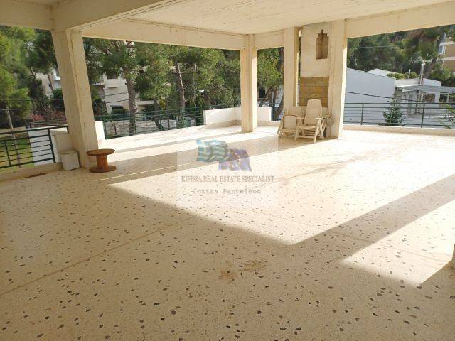 2ND FLOOR ROOF GARDEN