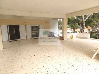 2ND FLOOR ROOF GARDEN