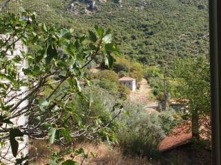 ΘΕΑ ΜΕΣΑ ΑΠΟ ΤΟ ΣΠΙΤΙ 