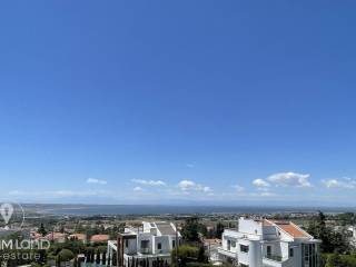 Forumland Real Estate, view