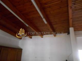 tabani xylino koyzinas