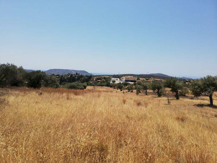 Εξωτερικοι χώροι