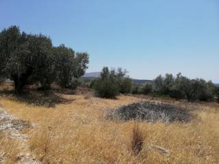 Εξωτερικοι χώροι