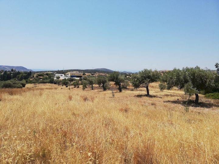 Εξωτερικοι χώροι