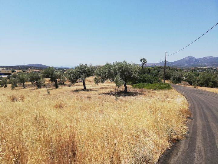 Εξωτερικοι χώροι