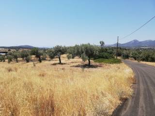 Εξωτερικοι χώροι