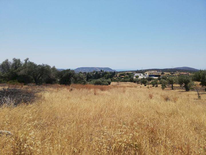 Εξωτερικοι χώροι