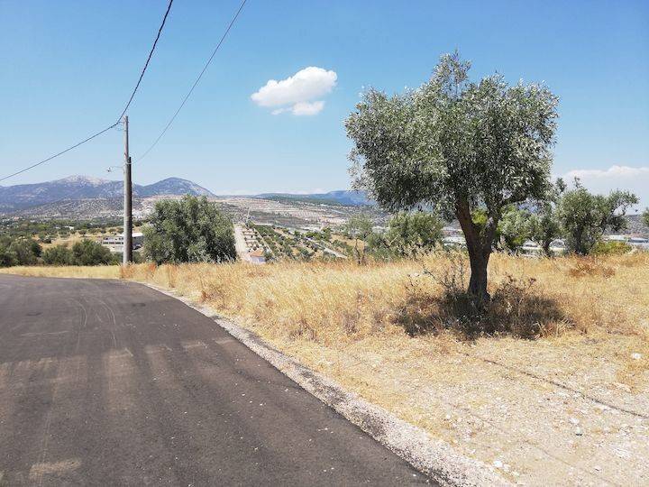 Εξωτερικοι χώροι