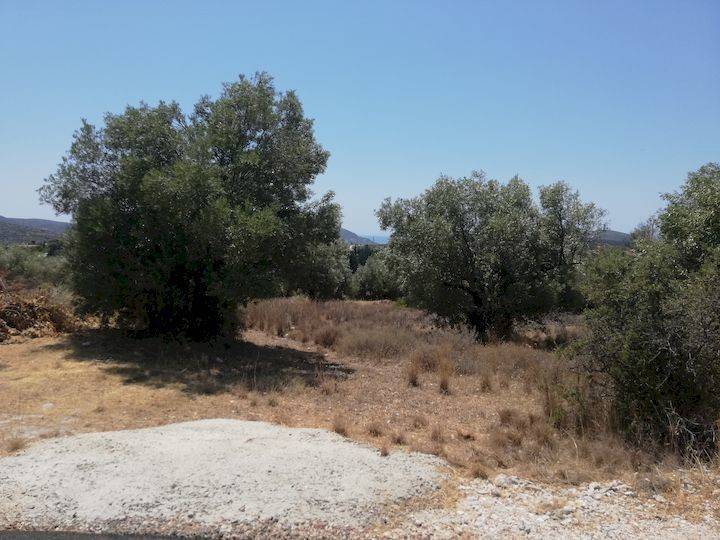 Εξωτερικοι χώροι