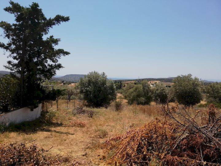 Εξωτερικοι χώροι