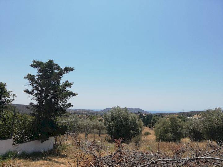 Εξωτερικοι χώροι