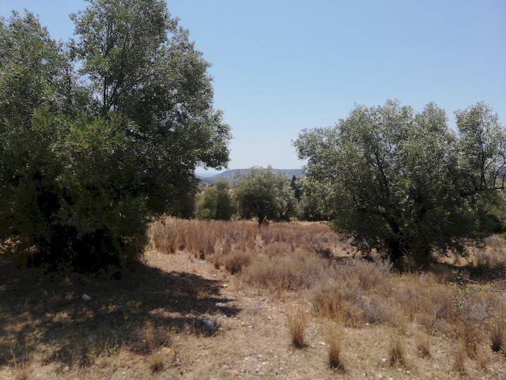 Εξωτερικοι χώροι