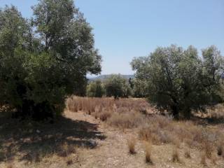 Εξωτερικοι χώροι