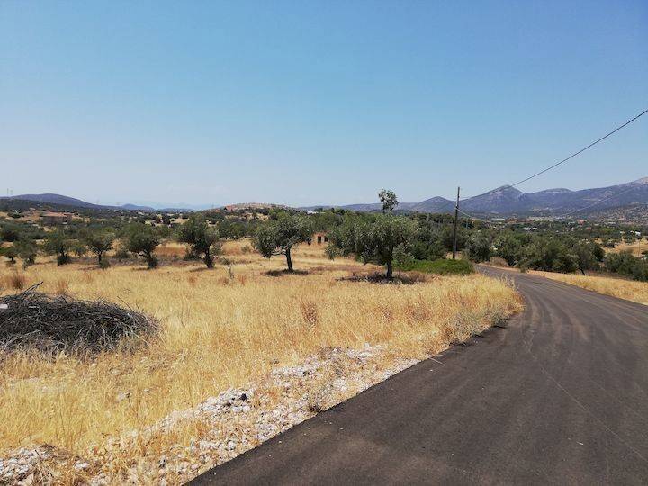 Εξωτερικοι χώροι