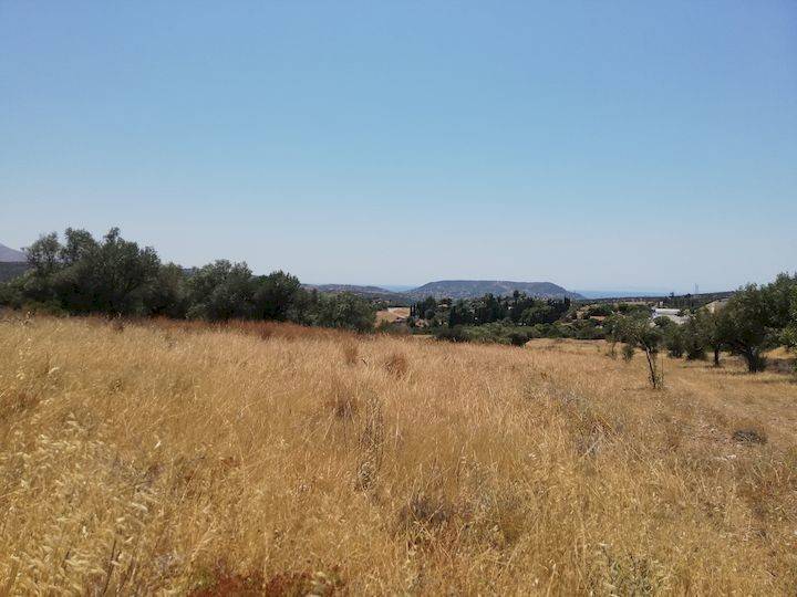 Εξωτερικοι χώροι