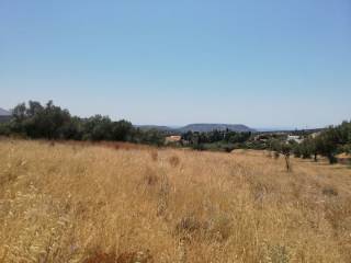 Εξωτερικοι χώροι