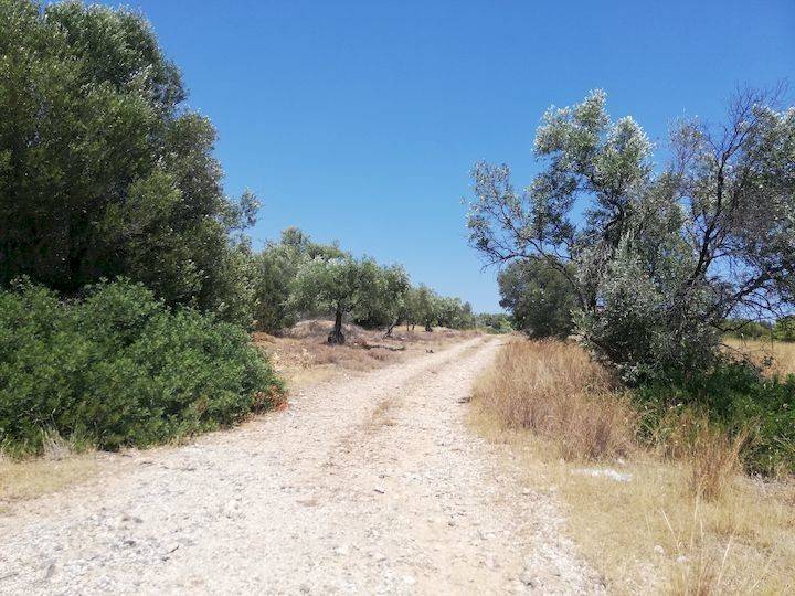 Εξωτερικοι χώροι